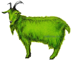 Год Зеленой Деревянной Козы 2015 год Козы